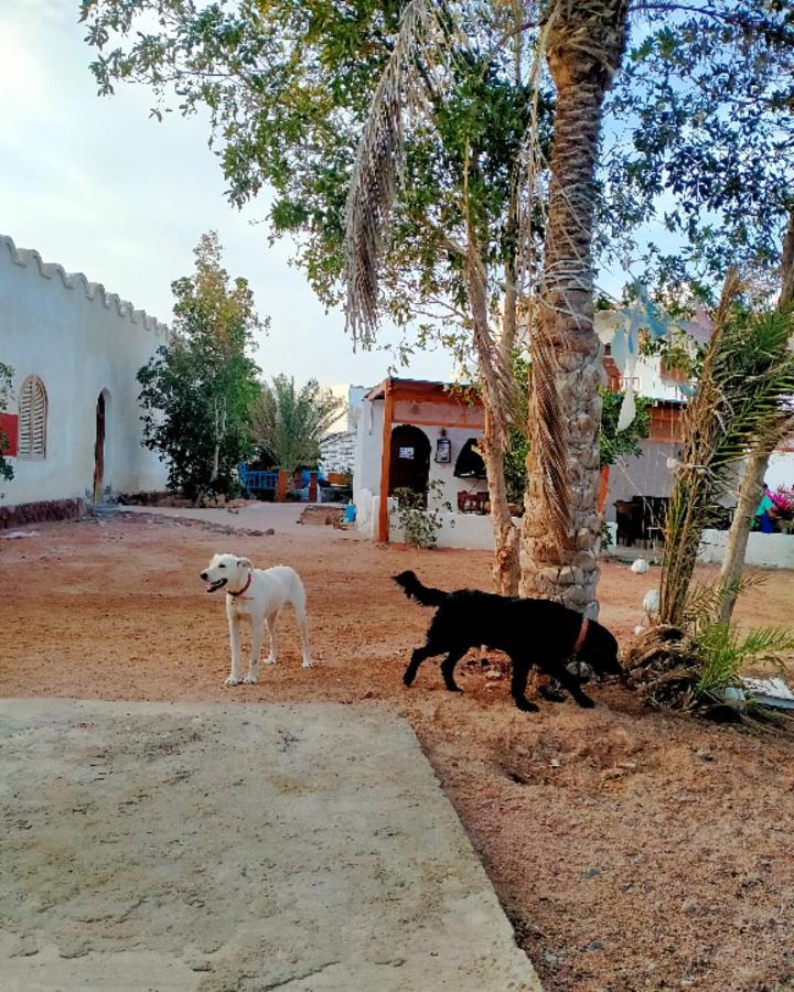 A Pousada Nook Dahab Exterior foto