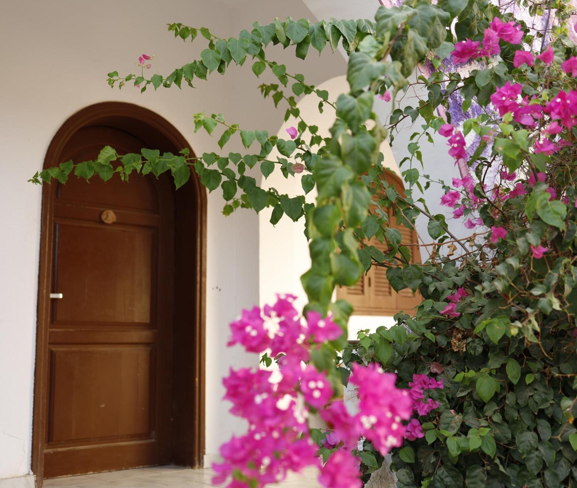 A Pousada Nook Dahab Exterior foto